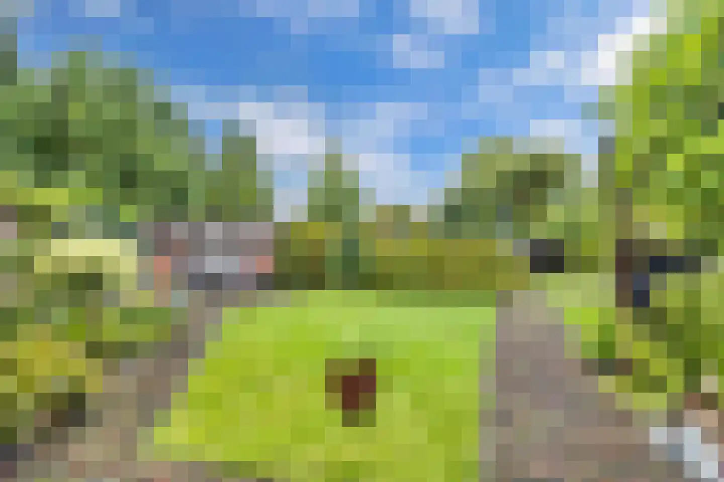 Tjotter 6 Broek op Langedijk thumbnail 51