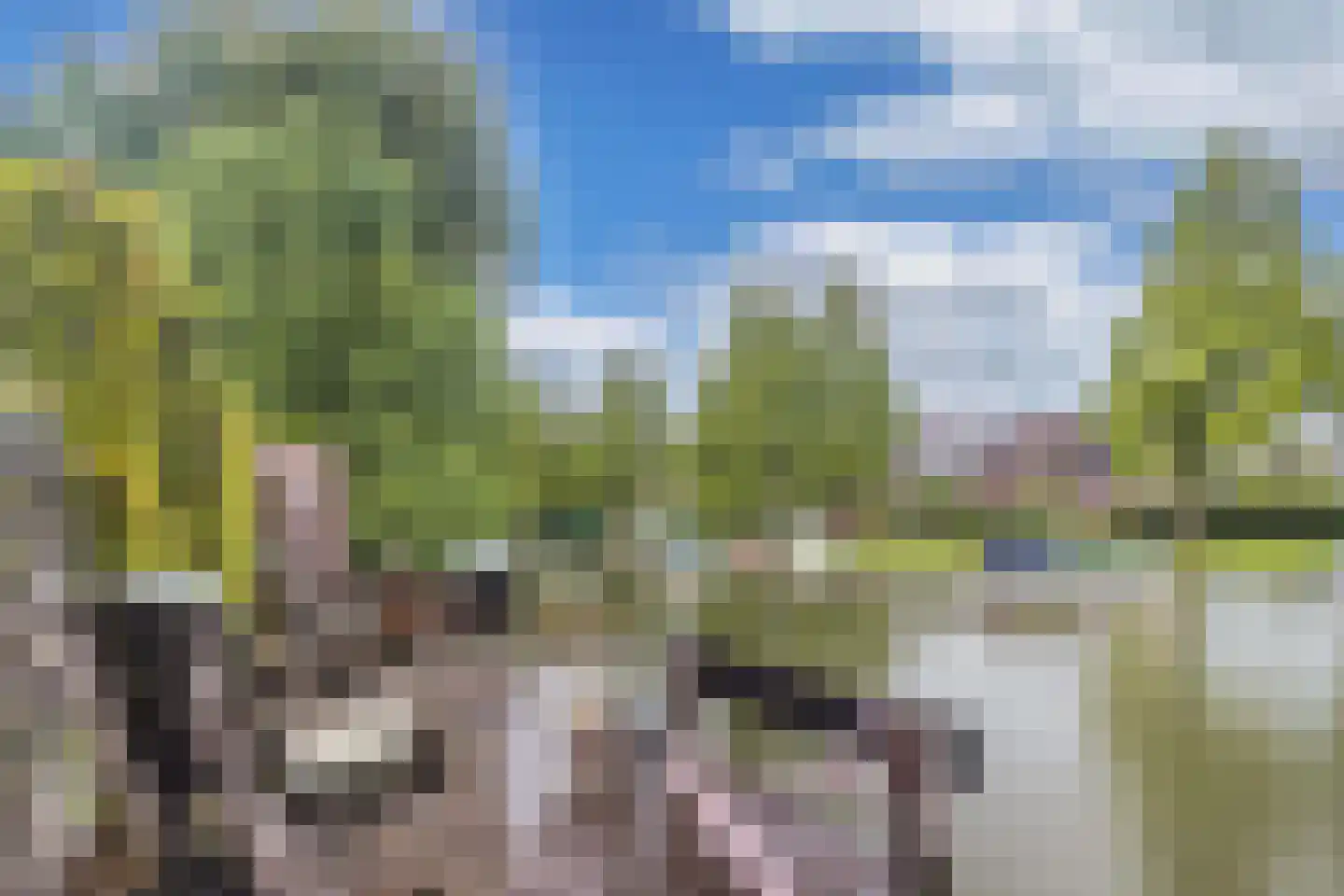 Tjotter 6 Broek op Langedijk thumbnail 53