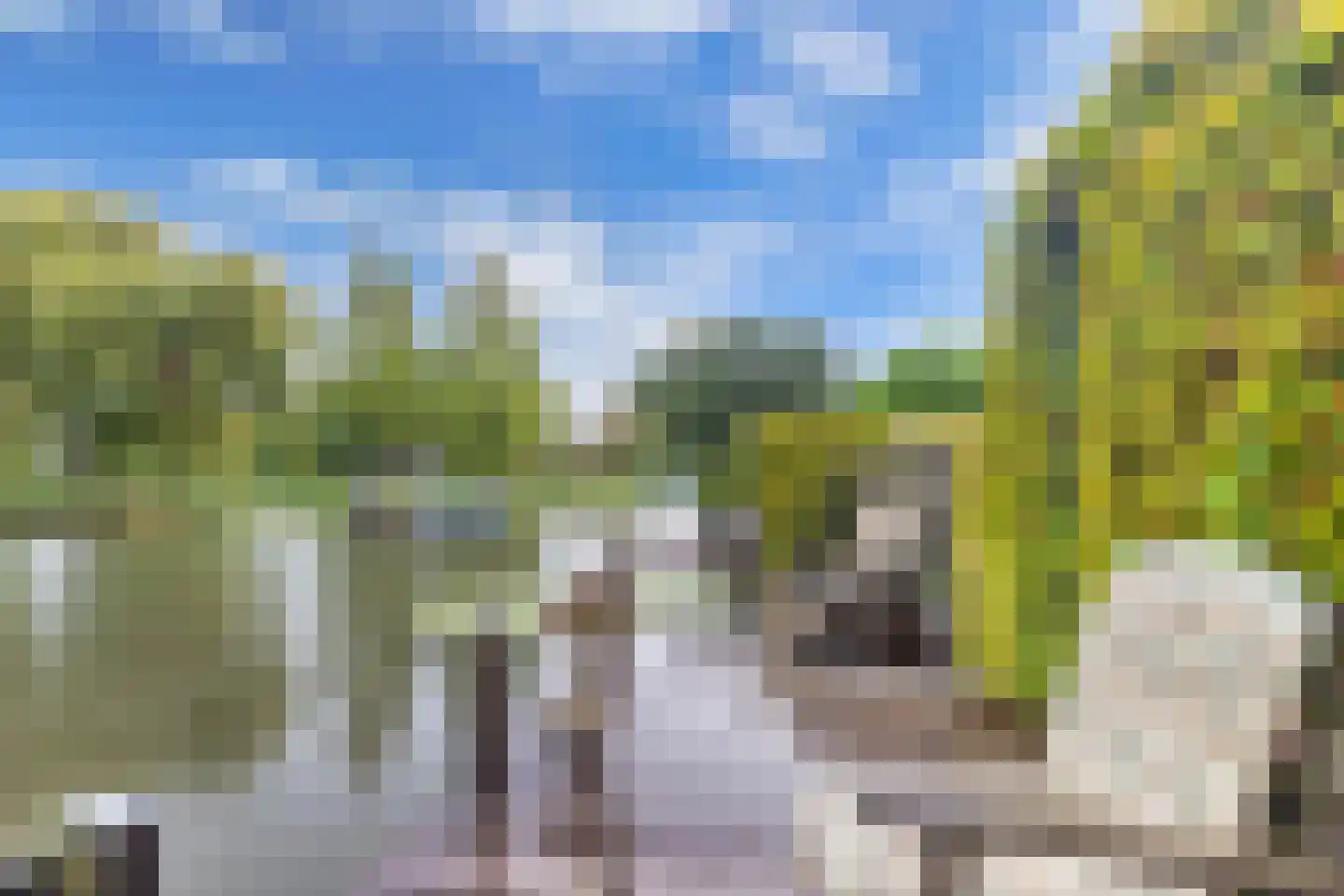 Tjotter 6 Broek op Langedijk thumbnail 54