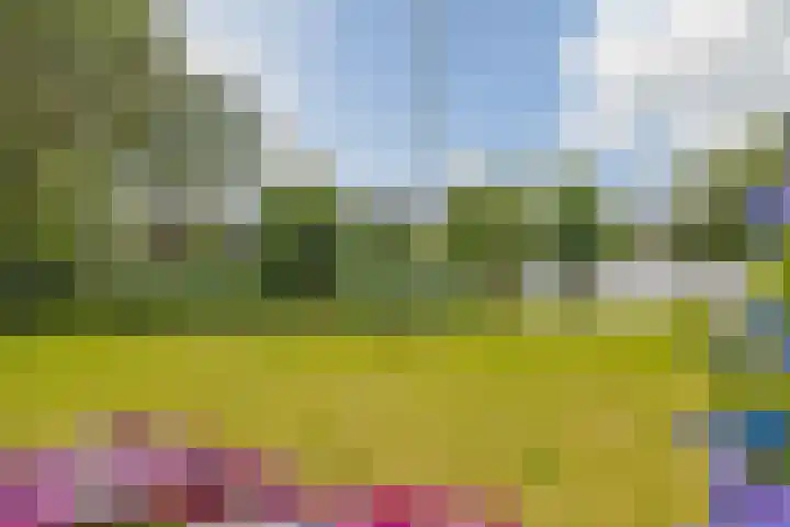 Tjotter 6 Heerenveen thumbnail 10