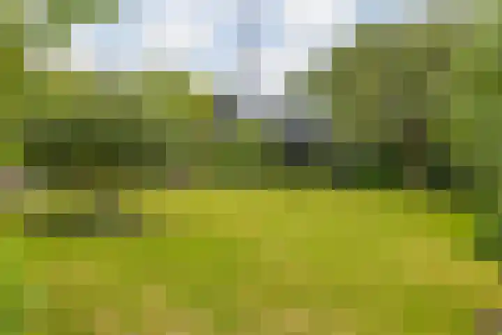 Tjotter 6 Heerenveen thumbnail 11