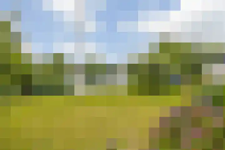 Tjotter 6 Heerenveen thumbnail 12