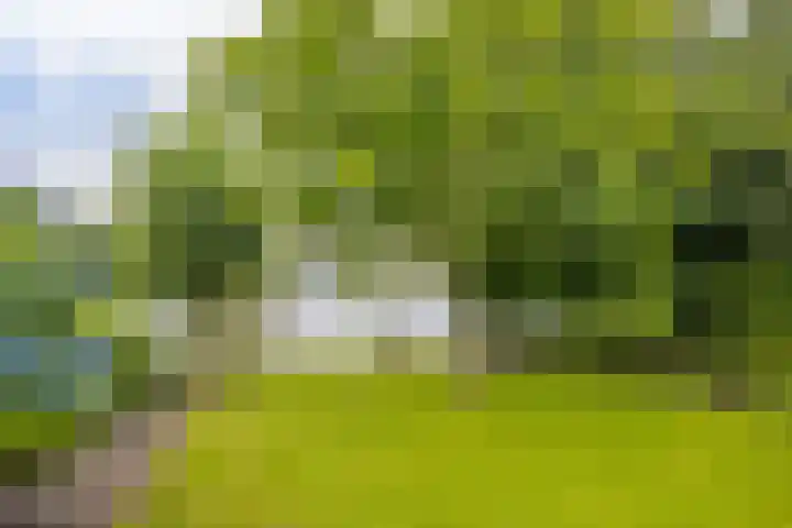 Tjotter 6 Heerenveen thumbnail 13
