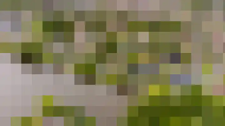 Tjotter 6 Heerenveen thumbnail 14