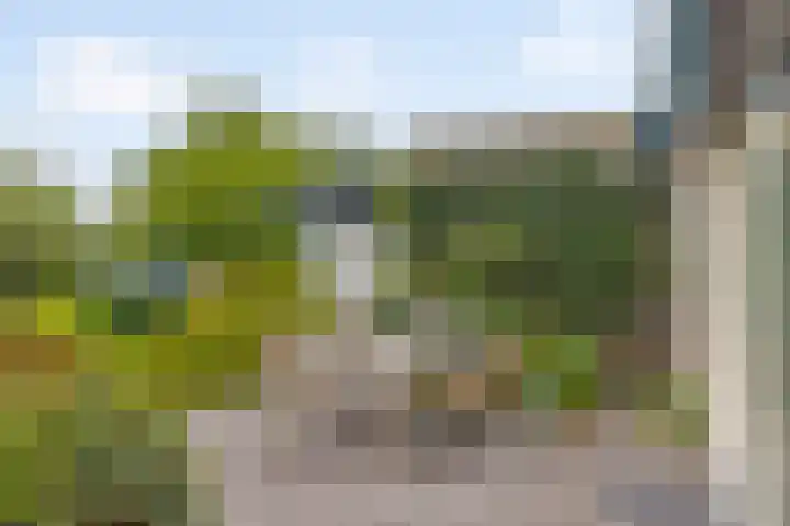 Tjotter 6 Heerenveen thumbnail 17