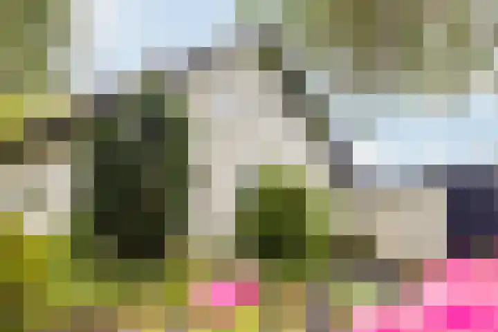 Tjotter 6 Heerenveen thumbnail 19