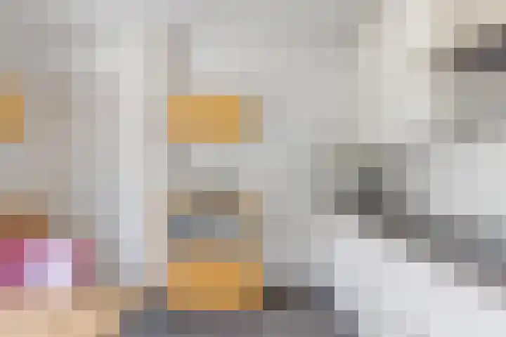 Tjotter 6 Heerenveen thumbnail 33
