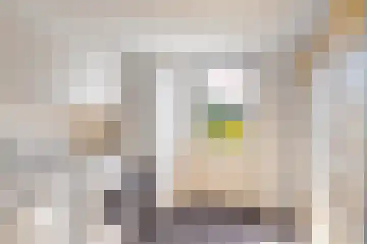 Tjotter 6 Heerenveen thumbnail 35