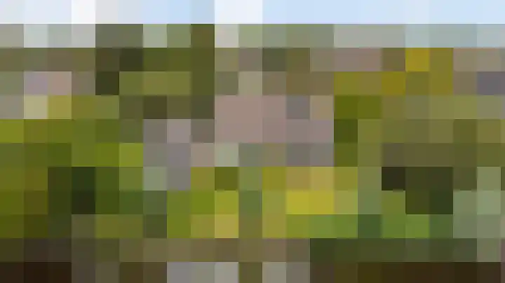 Tjotter 6 Heerenveen thumbnail 52