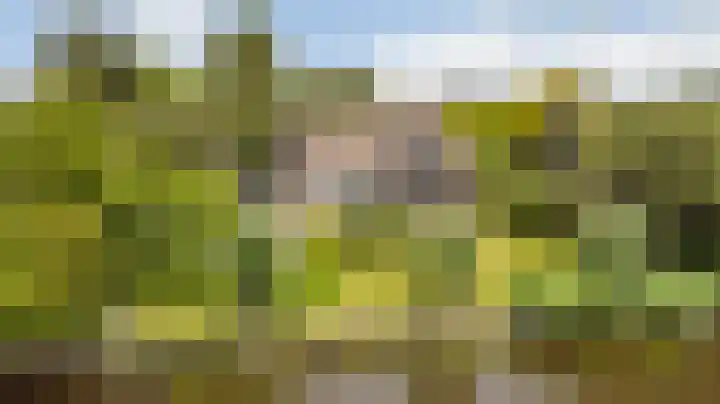 Tjotter 6 Heerenveen thumbnail 53