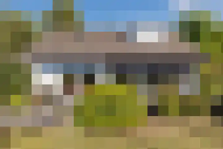 Tjotter 6 Heerenveen thumbnail 59