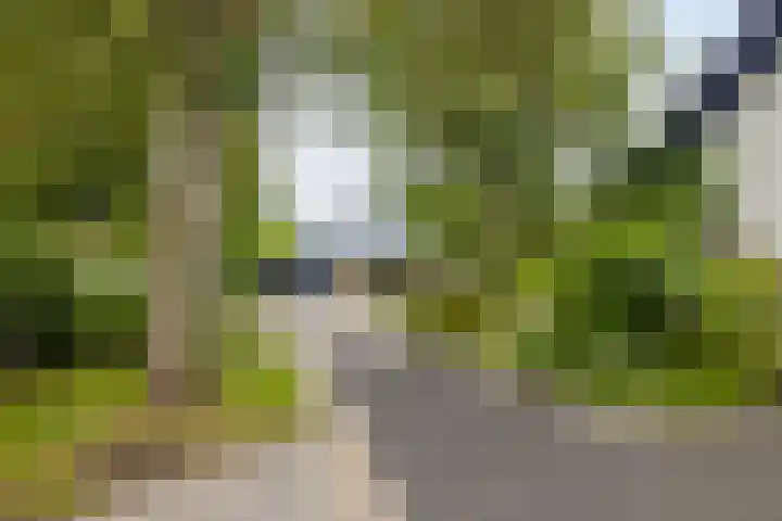 Tjotter 6 Heerenveen thumbnail 60