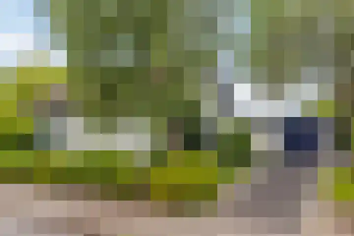 Tjotter 6 Heerenveen thumbnail 61