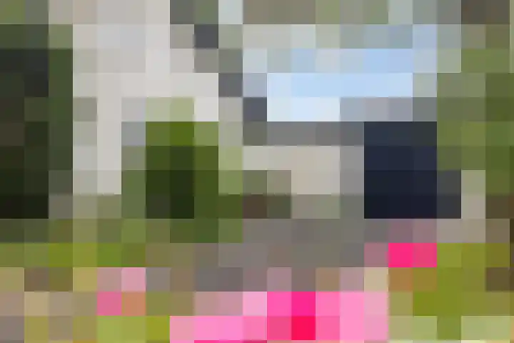 Tjotter 6 Heerenveen thumbnail 62
