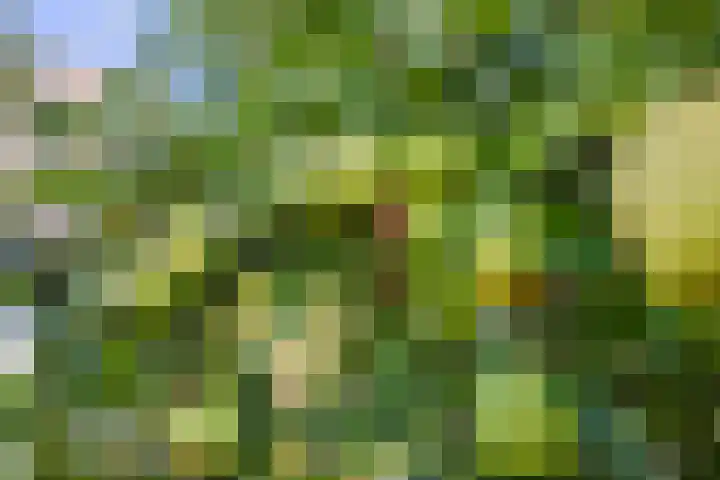 Tjotter 6 Heerenveen thumbnail 67