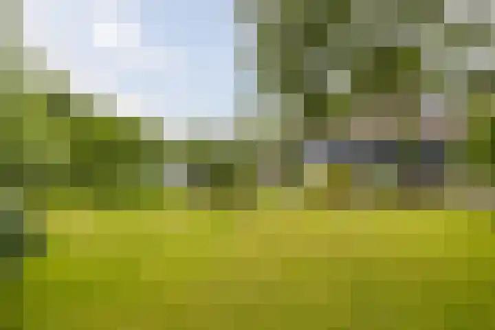 Tjotter 6 Heerenveen thumbnail 8