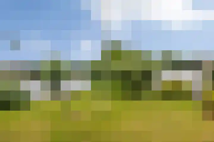 Tjotter 6 Heerenveen thumbnail 9