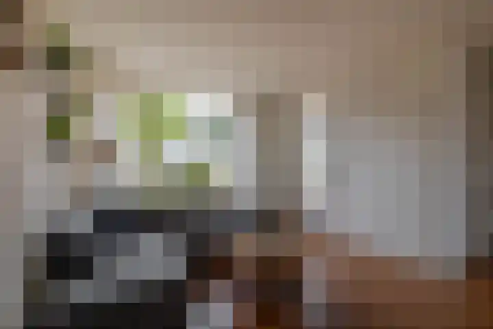 Tjotter 8 Lemmer thumbnail 7
