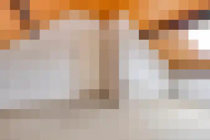 Tjotter 9 Heerenveen thumbnail 24