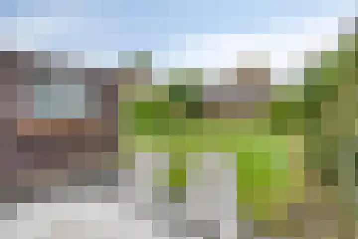 Tjotter 9 Heerenveen thumbnail 28