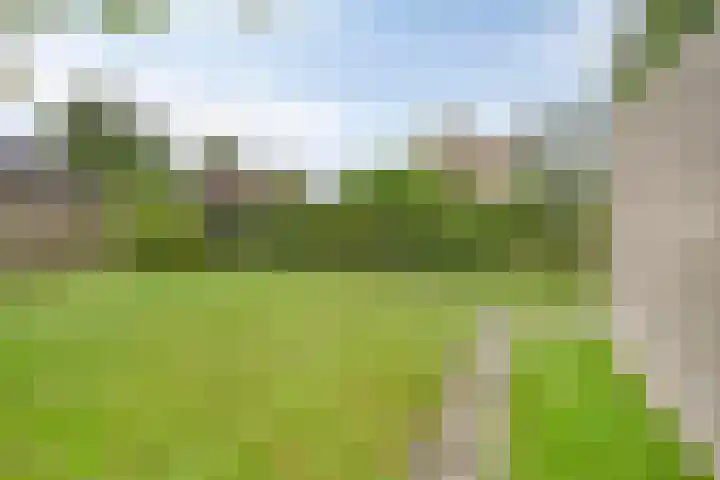 Tjotter 9 Heerenveen thumbnail 31