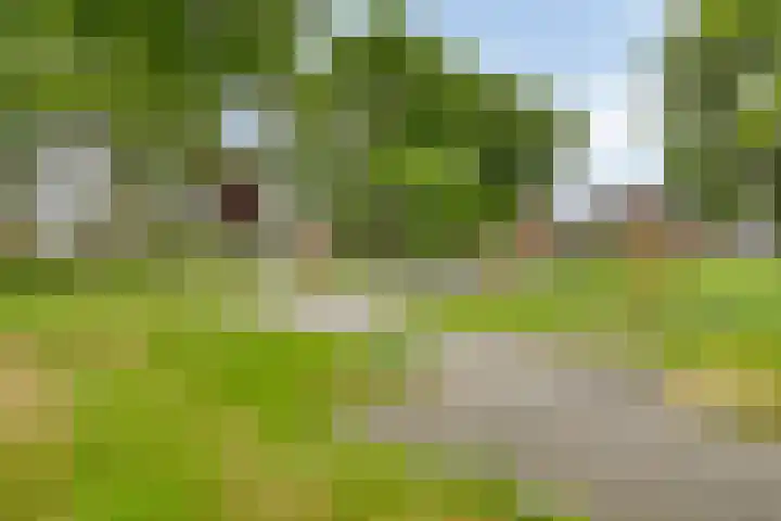 Tjotter 9 Heerenveen thumbnail 32