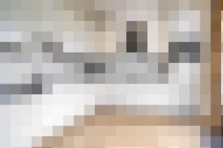 Tjotter 9 Heerenveen thumbnail 5