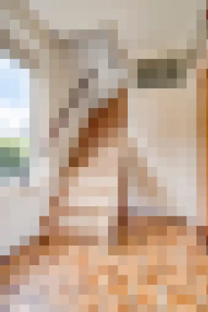Tjotter 9 Heerenveen thumbnail 6