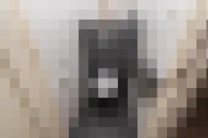 Tjotterkade 12 Zoetermeer thumbnail 11