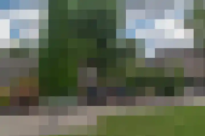 Tjotterkade 12 Zoetermeer thumbnail 13