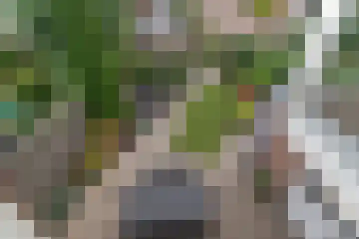 Tjotterkade 12 Zoetermeer thumbnail 17