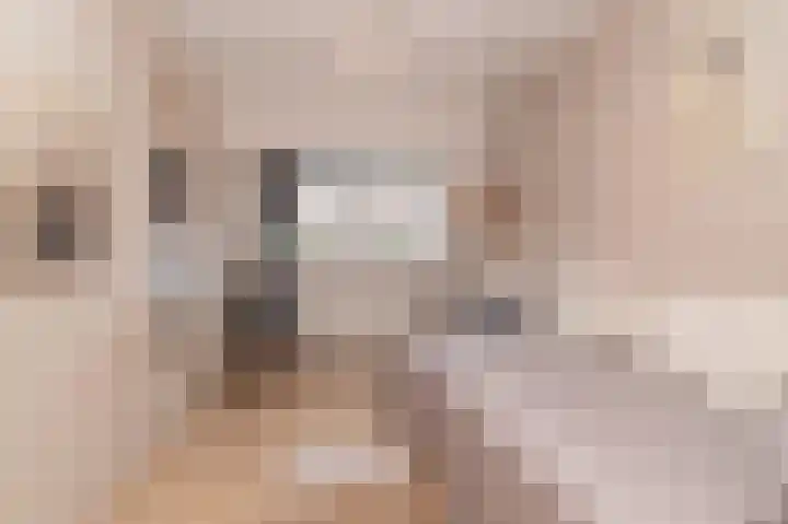 Tjotterkade 12 Zoetermeer thumbnail 23