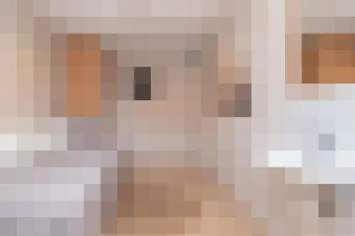 Tjotterkade 12 Zoetermeer thumbnail 24