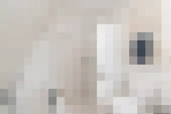 Tjotterkade 12 Zoetermeer thumbnail 28