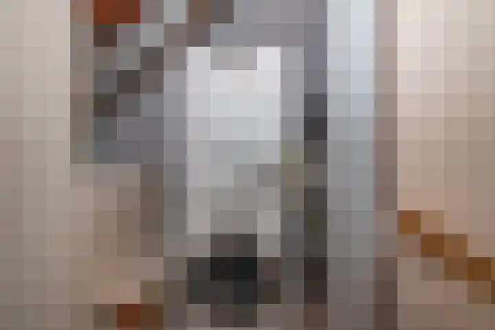 Tjotterkade 12 Zoetermeer thumbnail 36