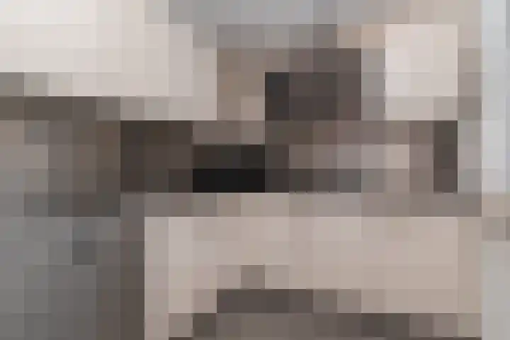 Tjotterkade 12 Zoetermeer thumbnail 9
