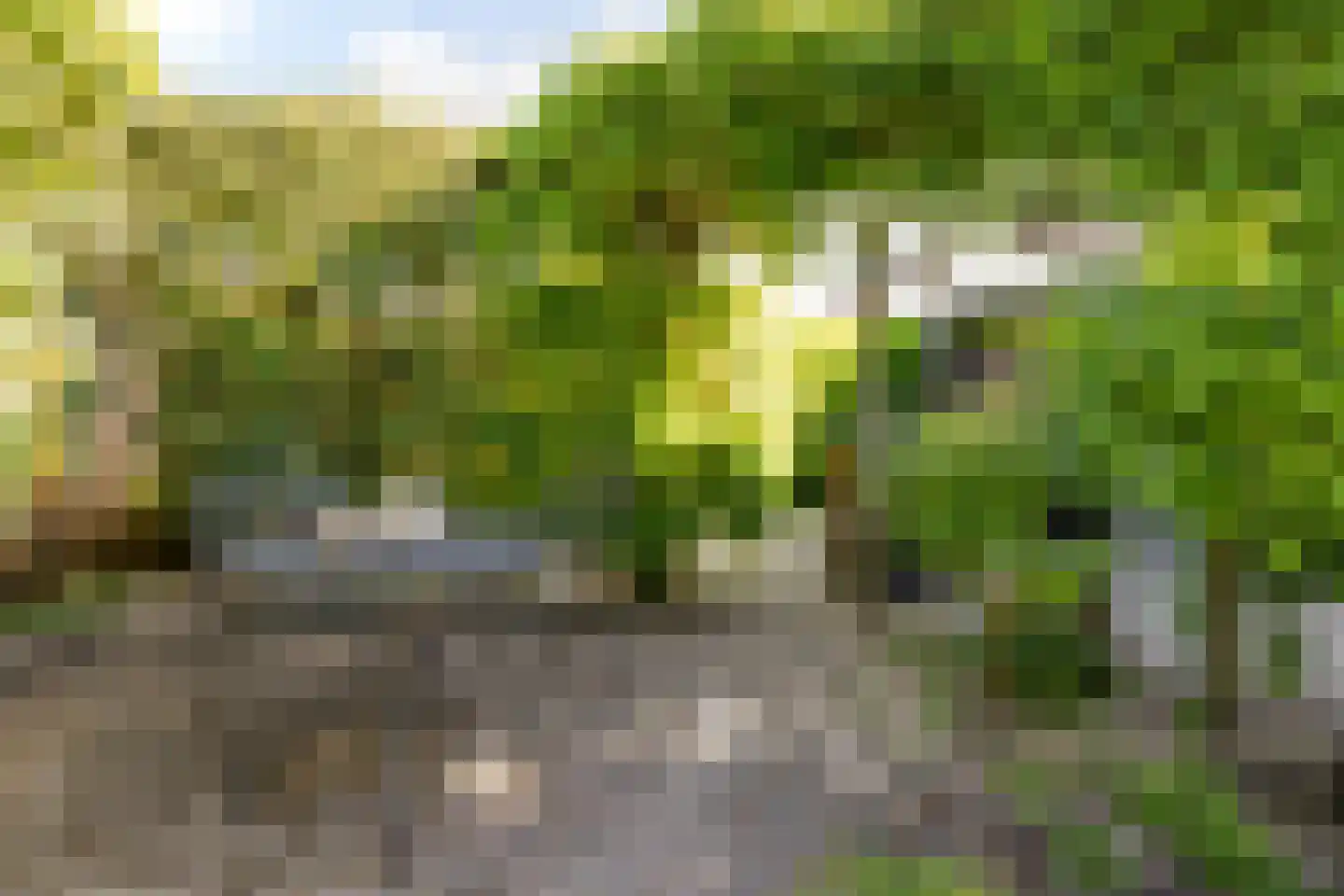 Tjotterkade 13 Zoetermeer thumbnail 11