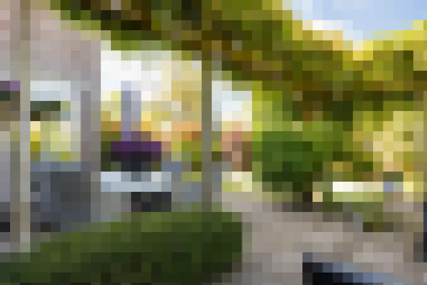 Tjotterkade 13 Zoetermeer thumbnail 13