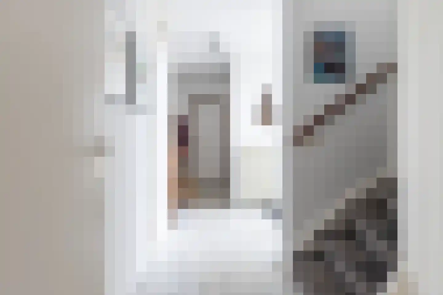Tjotterkade 13 Zoetermeer thumbnail 28