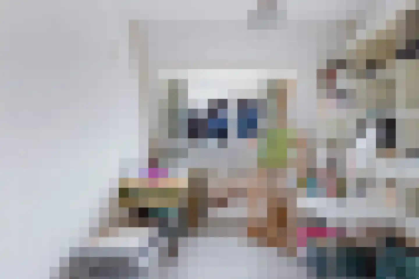 Tjotterkade 13 Zoetermeer thumbnail 41