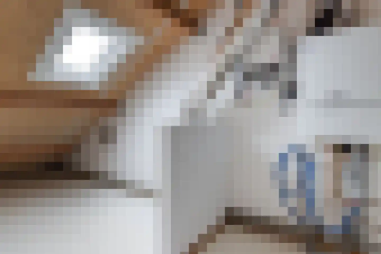 Tjotterkade 13 Zoetermeer thumbnail 46