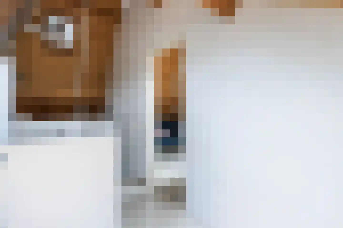 Tjotterkade 13 Zoetermeer thumbnail 47