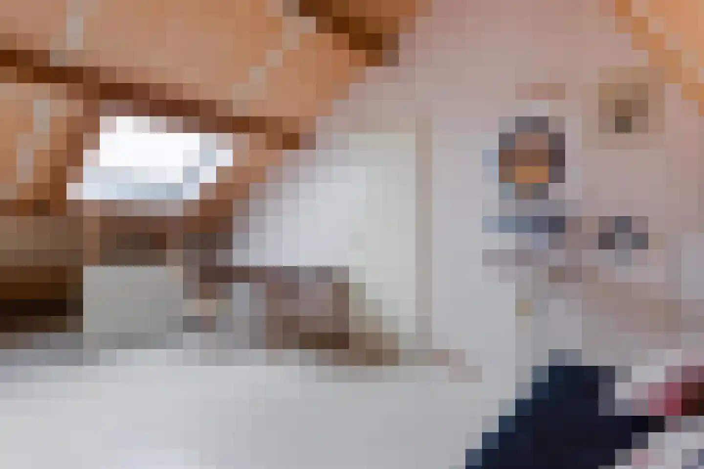 Tjotterkade 13 Zoetermeer thumbnail 49