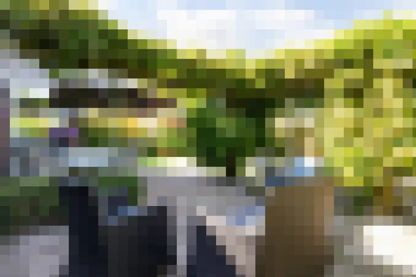Tjotterkade 13 Zoetermeer thumbnail 52