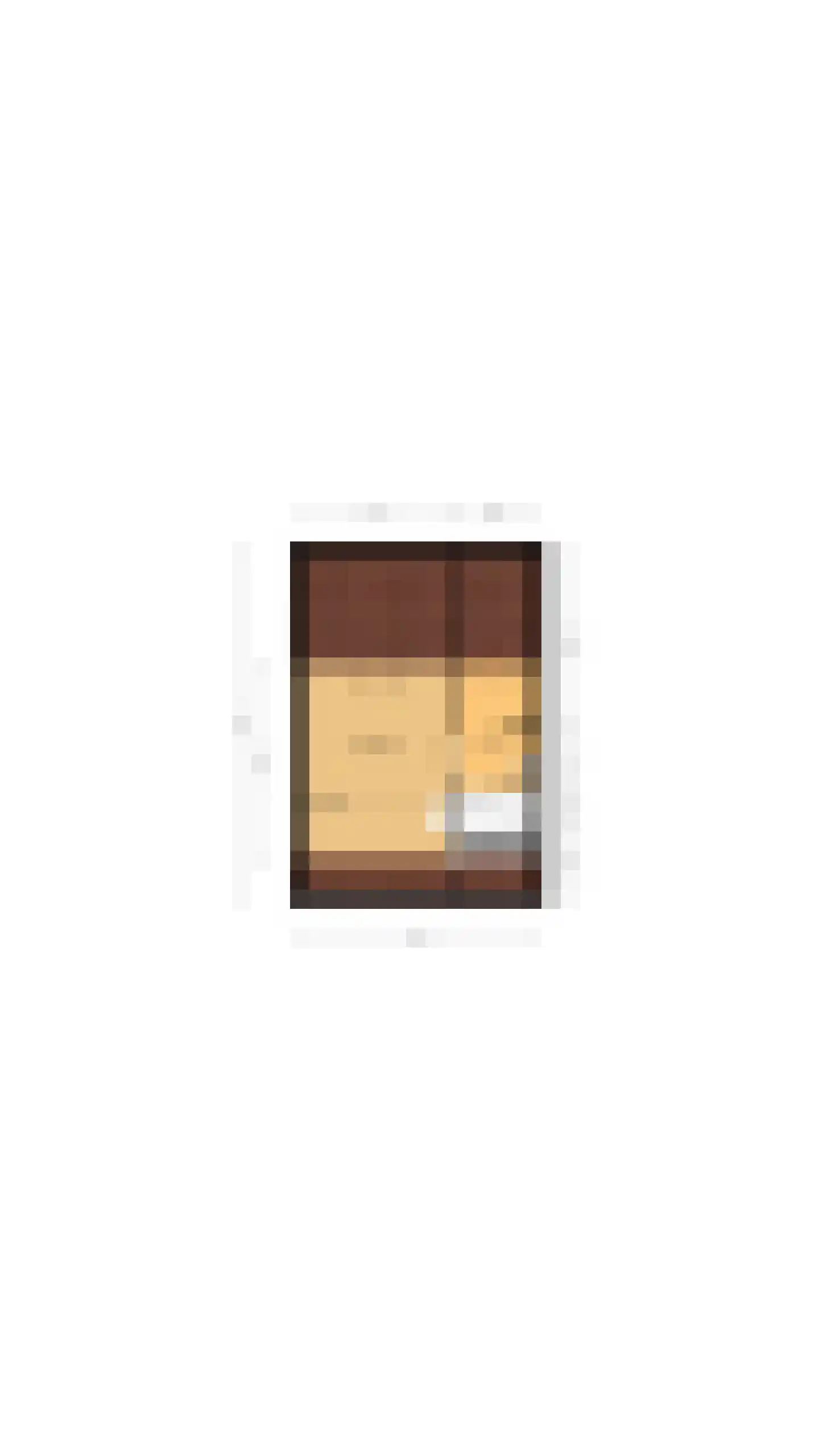 Tjotterkade 13 Zoetermeer thumbnail 61