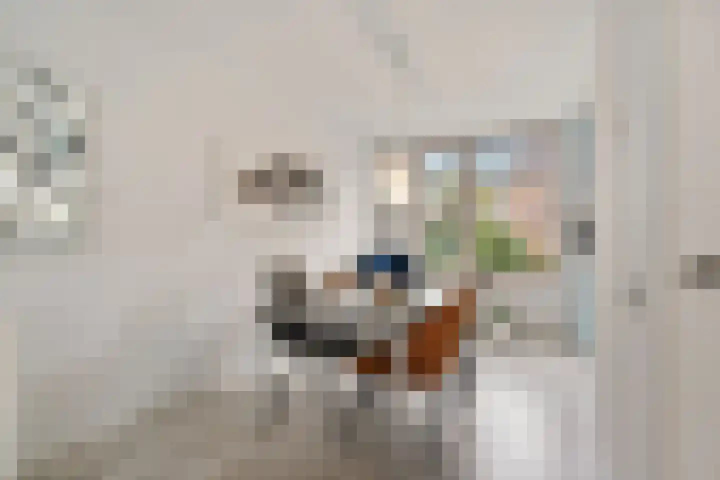 Tjotterkade 35 Zoetermeer thumbnail 22
