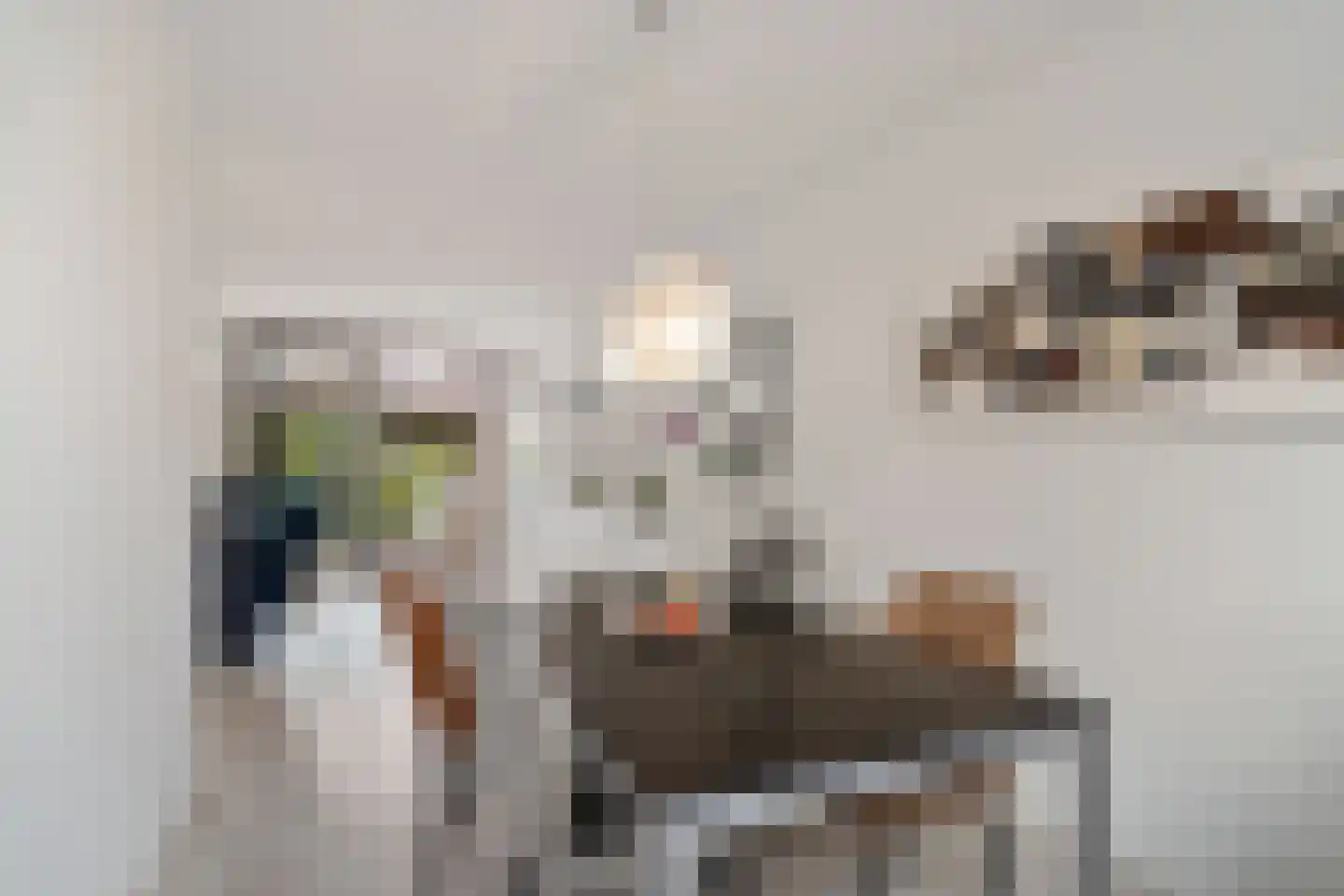 Tjotterkade 35 Zoetermeer thumbnail 23