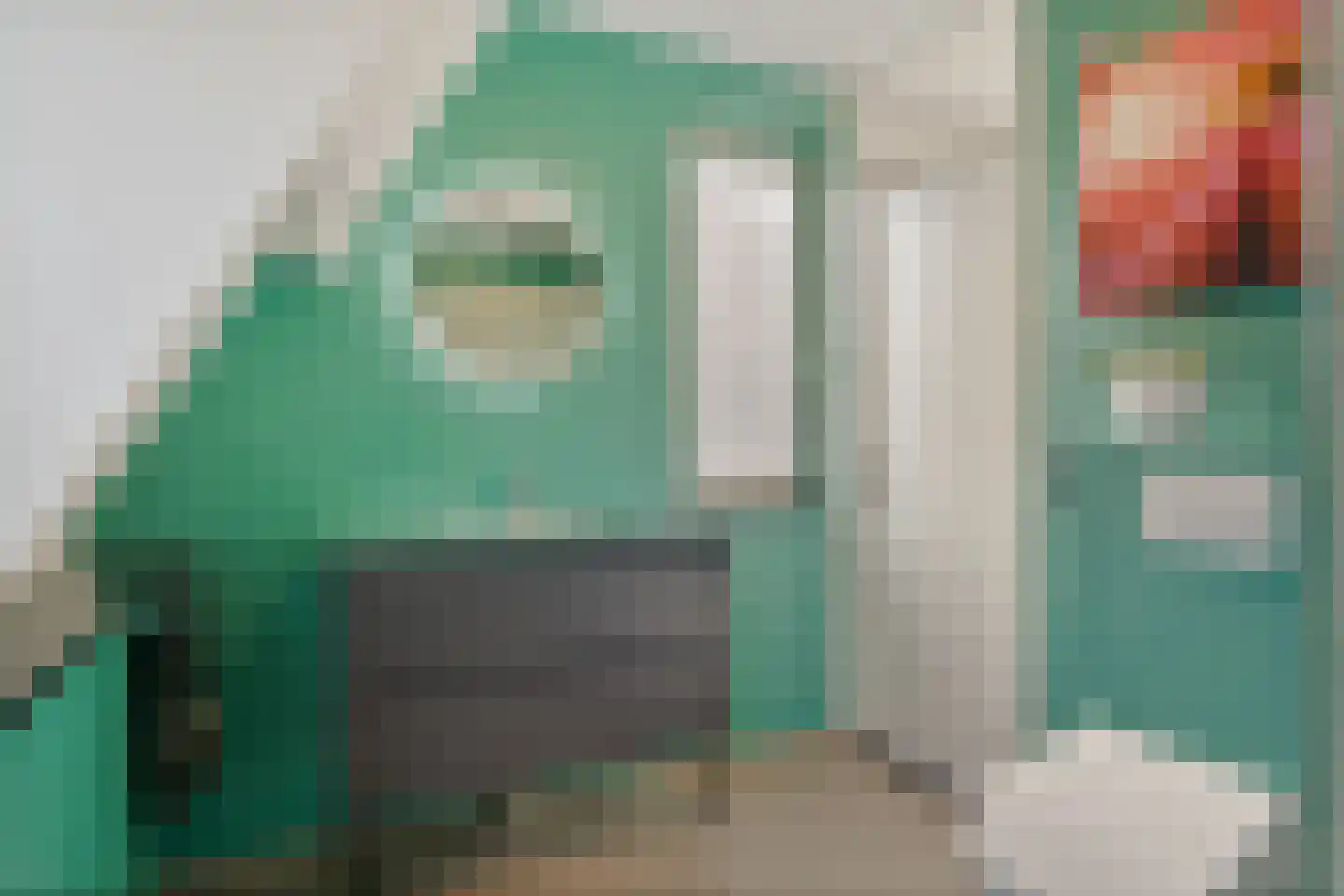 Tjotterkade 35 Zoetermeer thumbnail 49