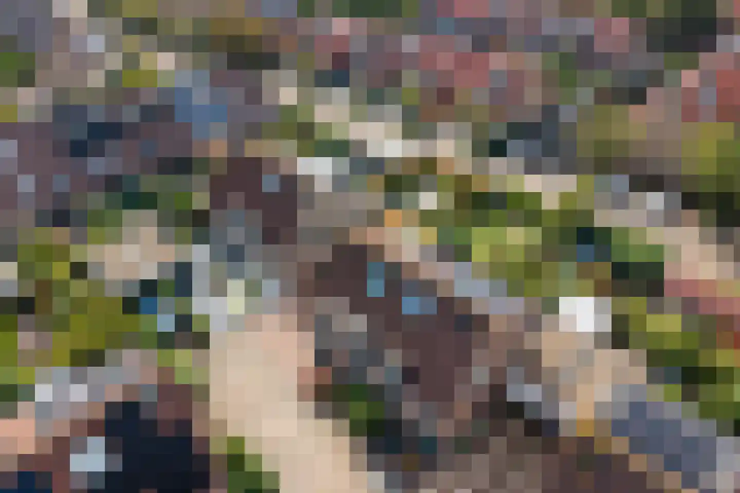 Tjotterkade 35 Zoetermeer thumbnail 7