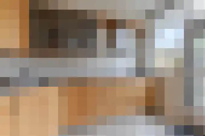 Tjotterlaan 49 Zaandam thumbnail 10